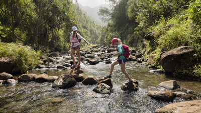 Crossing a river on stepping stones